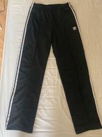 Nieuwe Adidas firebird broek, Adidas, Zwart, Maat 42/44 (L), Nieuw