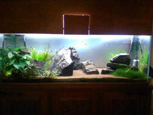 Aquarium, Dieren en Toebehoren, Vissen | Aquaria en Toebehoren, Gebruikt, Leeg aquarium, Ophalen