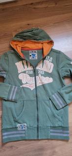 vingino cardigan 14 jaar, Kinderen en Baby's, Kinderkleding | Maat 164, Jongen of Meisje, Trui of Vest, Ophalen of Verzenden, Zo goed als nieuw