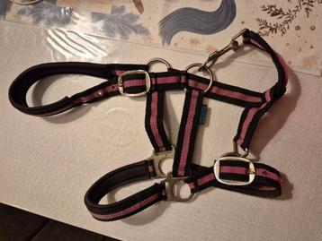Pony halster beschikbaar voor biedingen