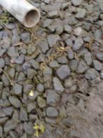 metalen buizen, Doe-het-zelf en Bouw, Metalen, Ophalen, Zo goed als nieuw