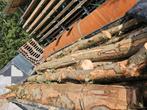 Brandhout te koop, Tuin en Terras, Brandhout, Ophalen, Stammen