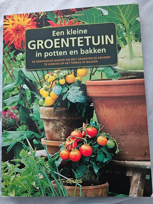 Een kleine groentetuin in potten en bakken, Livres, Maison & Jardinage, Neuf, Potager, Enlèvement