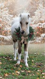 Minipaard , Palominobont , 2025 ., Dieren en Toebehoren, Hengst, Recreatiepony, Gechipt, 0 tot 2 jaar