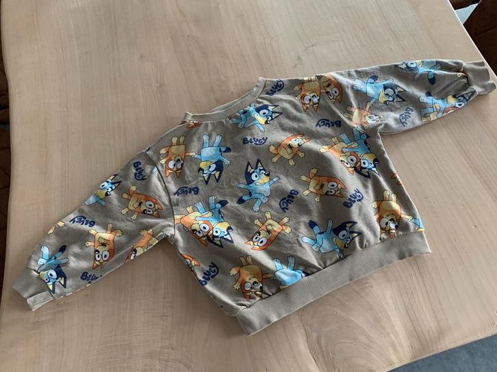 Bluey trui, Kinderen en Baby's, Kinderkleding | Maat 104, Gebruikt, Jongen, Trui of Vest, Ophalen of Verzenden