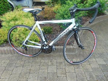 racefiets RIDLEY triton S maat 51 in nieuwstaat beschikbaar voor biedingen