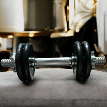 halter gewichten van domynos 9kg  beschikbaar voor biedingen