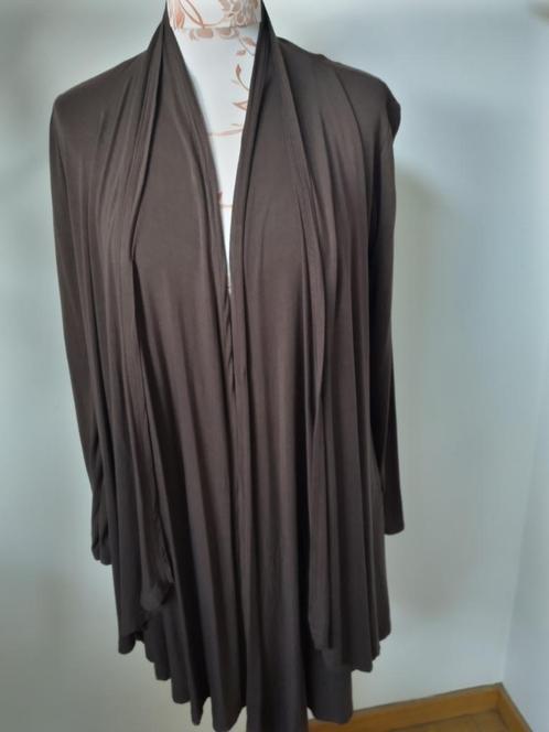 Mooie lange gilet Caroline Biss, Kleding | Dames, Truien en Vesten, Gedragen, Maat 38/40 (M), Bruin, Ophalen of Verzenden