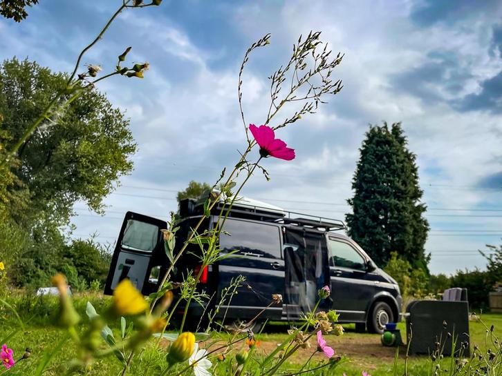 Omgebouwde Volkswagen Transporter T6, Auto's, Volkswagen, Particulier, Transporter, Adaptieve lichten, Adaptive Cruise Control