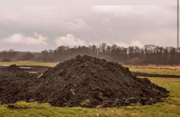 Gratis opvulgrond Averbode beschikbaar voor biedingen