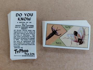 Do You Know complete set 24 chromos Ty-Phoo Tea 1962 beschikbaar voor biedingen