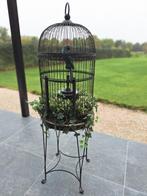 Vogelkooi in Victoriaanse Stijl, Ophalen