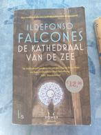Ildefonso Falcones - De kathedraal van de zee, Boeken, Ophalen of Verzenden, Zo goed als nieuw, Ildefonso Falcones