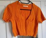 Oranje croptop Pull&bear - M, Vêtements | Femmes, Tops, Enlèvement ou Envoi, Orange