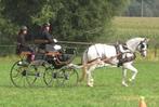 mooi spider koets, Dieren en Toebehoren, Rijtuigen en Koetsen, Overige typen, Gebruikt, Paard