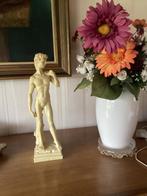 Fausse image : le David de Florence de Michel-Ange, Antiquités & Art, Enlèvement ou Envoi