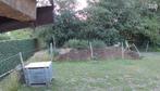 Gratis paardenmest, Ophalen, Mest