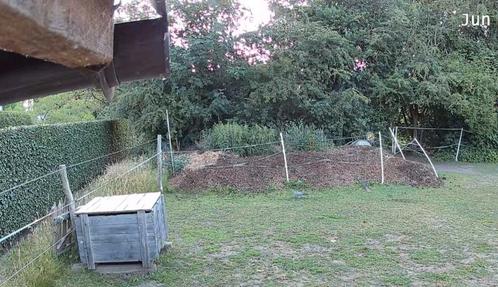 Gratis paardenmest, Tuin en Terras, Aarde en Mest, Mest, Ophalen