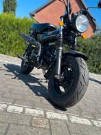 Bulroc A klsse 2024 0096km new staat, Particulier