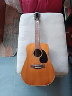 Saturn 12 string gitaar, Muziek en Instrumenten, Ophalen, Gebruikt