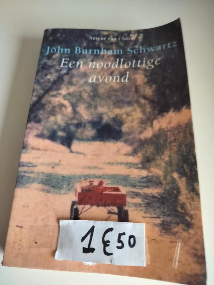 J. Burnham Schwartz - Een noodlottige avond, Boeken, Literatuur, Gelezen, Ophalen of Verzenden