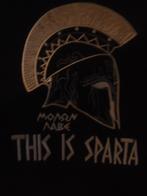 Spartiates/c'est Sparta t-shirt nouveau 3xl, Collections, Armée de terre, Envoi, Vêtements ou Chaussures