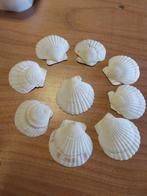 Lot de 24 mini coquilles Saint Jacques (apéro), Enlèvement, Comme neuf, Autres matériaux, Récipient(s)