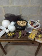 Materiaal voor bloemschikken, Hobby en Vrije tijd, Ophalen, Gebruikt