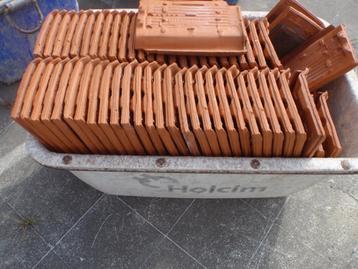 DAKPAN PLAT.POTTELBERG:350ST=40CENT/ST=GOEDE KWALITEIT beschikbaar voor biedingen