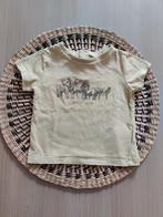 T-shirt jbc 62 zomer, Gebruikt, Ophalen of Verzenden, JBC., Jongetje