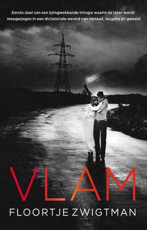 Te Koop Boek VLAM Floortje Zwigtman, Boeken, Romans, Zo goed als nieuw, Nederland, Ophalen of Verzenden