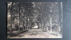 Loenhout Hofdreef ( Wuustwezel ), Verzamelen, Postkaarten | België, Ophalen of Verzenden, 1920 tot 1940, Gelopen, Antwerpen