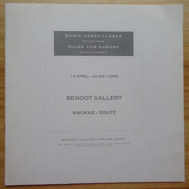 Dario Perez-Flores en Hilde Van Sumere, 2006, Boeken, Kunst en Cultuur | Beeldend, Zo goed als nieuw, Beeldhouwkunst, Ophalen of Verzenden