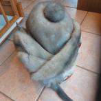 Echte nerts muts met bijhorende echte nerts sjaal, Kleding | Dames, Ophalen, Zo goed als nieuw, Muts