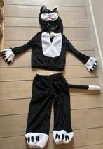 Verkleedpakje kat 4 - 9 jaar, Ophalen, Gebruikt, Jongen of Meisje