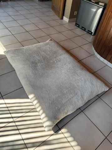 XL ecru Hondenbed beschikbaar voor biedingen