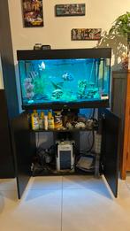 Aquarium 150 litres tout equipé + poissons, Enlèvement, Comme neuf, Aquarium d'eau douce rempli