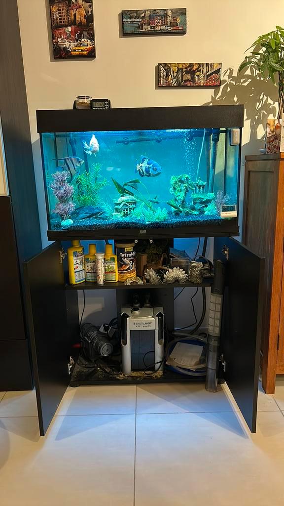 Aquarium 150 litres tout equipé + poissons, Dieren en Toebehoren, Vissen | Aquaria en Toebehoren, Zo goed als nieuw, Gevuld zoetwateraquarium