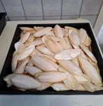 Te koop Middelkerke Laatste 6 kg sepia schelpen dit jaar, Dieren en Toebehoren, Ophalen, Zo goed als nieuw