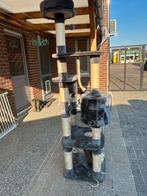 Gebruikte krabpaal, Dieren en Toebehoren, Krabmeubelen, Ophalen, Gebruikt, Krabpaal