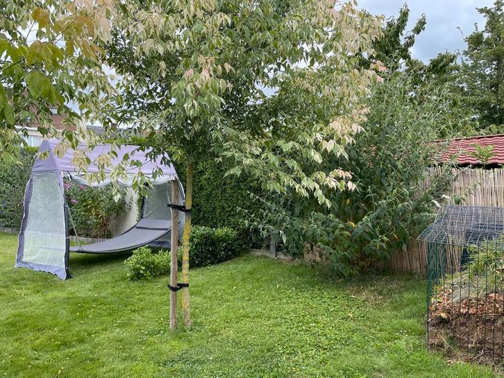 Hangmat 2 personen, Tuin en Terras, Hangmatten, Gebruikt, Meerpersoons, Met standaard, Buiten, Ophalen