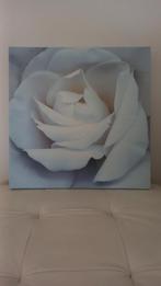 Canvas witte roos, Huis en Inrichting, 50 tot 75 cm, Ophalen of Verzenden, 50 tot 75 cm, Print