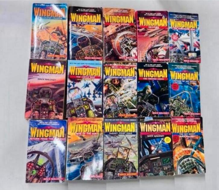 L'ailier Mack Maloney Aviation post-apocalyptique l'USAF 16, Livres, Partis & Groupements, Comme neuf, Autres, Enlèvement ou Envoi