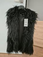 Nouveau gilet pour le corps Zara, Vêtements | Femmes, Blousons sans Manches, Enlèvement ou Envoi, Neuf