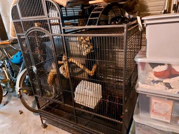 Grote  kooi met toebehoren, Dieren en Toebehoren, Ophalen, Zo goed als nieuw
