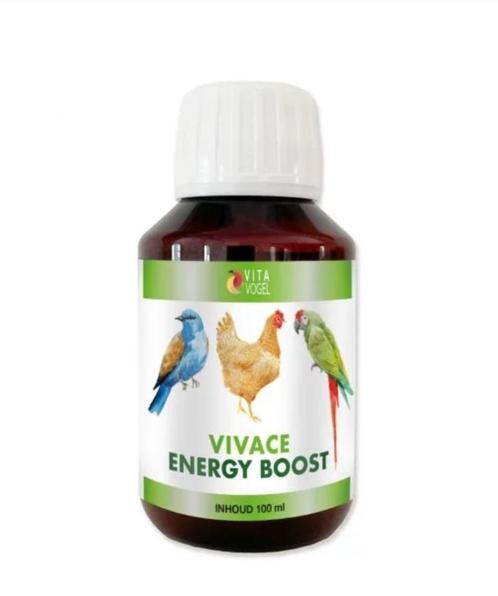 Vivace enery boost 100ml, vita vogel, Dieren en Toebehoren, Vogels | Toebehoren, Nieuw, Eten en Drinken, Verzenden