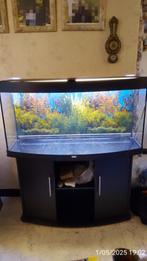 Aquarium, Dieren en Toebehoren, Ophalen, Gebruikt, Leeg aquarium