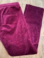 Velvet broek - Theory, Ophalen of Verzenden, Zo goed als nieuw, Theory, Roze