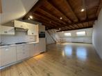 Appartement à louer à Bruxelles, 1 chambre, 80 m², Appartement, 1 kamers