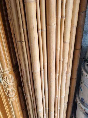  180 x 200 bamboo privacy scherm  beschikbaar voor biedingen